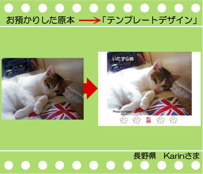 �y�b�g�̎ʐ^�ł���