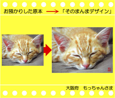 �y�b�g�̎ʐ^�ł���@�G�R�o�b�O