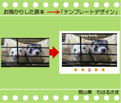 �y�b�g�̎ʐ^�@�G�R�o�b�O