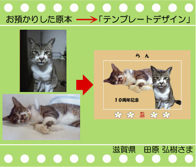 �y�b�g�̎ʐ^�@�G�R�o�b�O